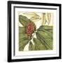 Tropical Blooms and Foliage II-Jennifer Goldberger-Framed Art Print