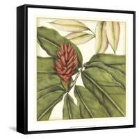 Tropical Blooms and Foliage II-Jennifer Goldberger-Framed Stretched Canvas