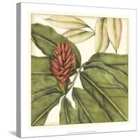 Tropical Blooms and Foliage II-Jennifer Goldberger-Stretched Canvas