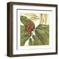 Tropical Blooms and Foliage II-Jennifer Goldberger-Framed Art Print