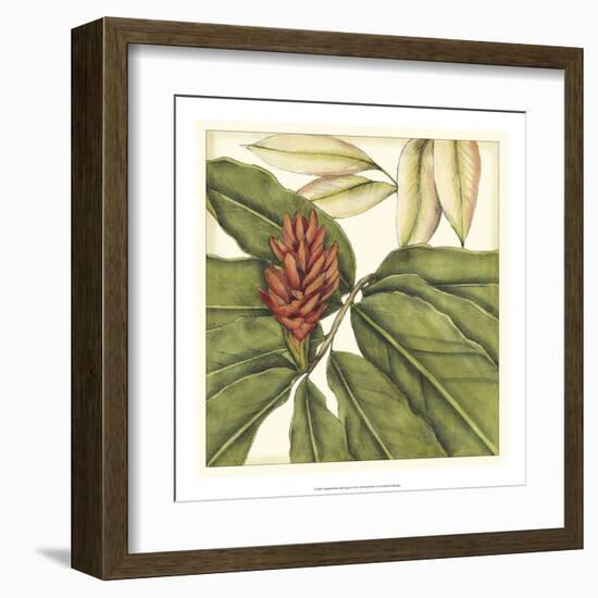 Tropical Blooms and Foliage II-Jennifer Goldberger-Framed Art Print