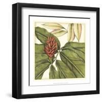 Tropical Blooms and Foliage II-Jennifer Goldberger-Framed Art Print