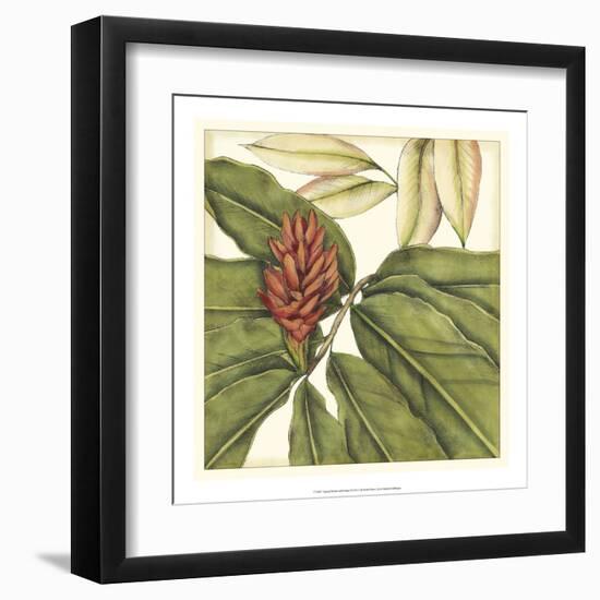 Tropical Blooms and Foliage II-Jennifer Goldberger-Framed Art Print