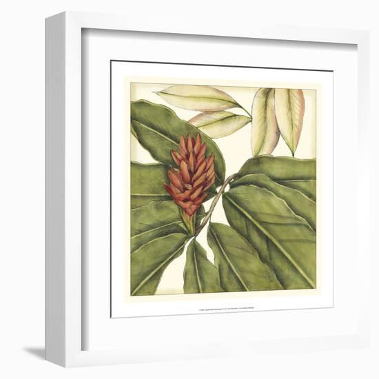 Tropical Blooms and Foliage II-Jennifer Goldberger-Framed Art Print