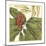 Tropical Blooms and Foliage II-Jennifer Goldberger-Mounted Art Print