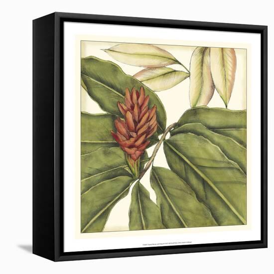 Tropical Blooms and Foliage II-Jennifer Goldberger-Framed Stretched Canvas