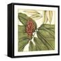 Tropical Blooms and Foliage II-Jennifer Goldberger-Framed Stretched Canvas