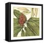 Tropical Blooms and Foliage II-Jennifer Goldberger-Framed Stretched Canvas