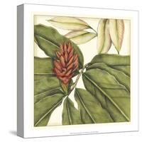 Tropical Blooms and Foliage II-Jennifer Goldberger-Stretched Canvas