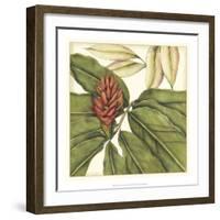 Tropical Blooms and Foliage II-Jennifer Goldberger-Framed Art Print