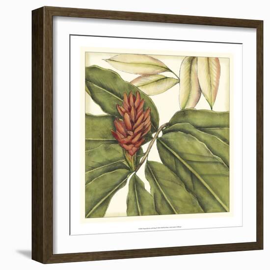 Tropical Blooms and Foliage II-Jennifer Goldberger-Framed Art Print