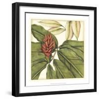 Tropical Blooms and Foliage II-Jennifer Goldberger-Framed Art Print