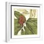 Tropical Blooms and Foliage II-Jennifer Goldberger-Framed Art Print