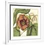 Tropical Blooms and Foliage IV-Jennifer Goldberger-Framed Art Print