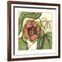 Tropical Blooms and Foliage IV-Jennifer Goldberger-Framed Art Print