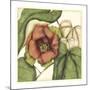Tropical Blooms and Foliage IV-Jennifer Goldberger-Mounted Art Print