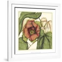 Tropical Blooms and Foliage IV-Jennifer Goldberger-Framed Art Print