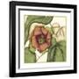 Tropical Blooms and Foliage IV-Jennifer Goldberger-Framed Art Print