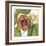 Tropical Blooms and Foliage IV-Jennifer Goldberger-Framed Art Print