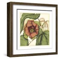 Tropical Blooms and Foliage IV-Jennifer Goldberger-Framed Art Print