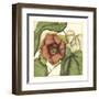 Tropical Blooms and Foliage IV-Jennifer Goldberger-Framed Art Print