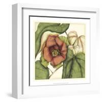 Tropical Blooms and Foliage IV-Jennifer Goldberger-Framed Art Print