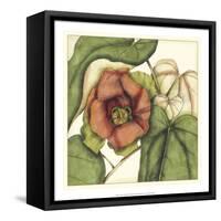 Tropical Blooms and Foliage IV-Jennifer Goldberger-Framed Stretched Canvas