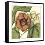 Tropical Blooms and Foliage IV-Jennifer Goldberger-Framed Stretched Canvas