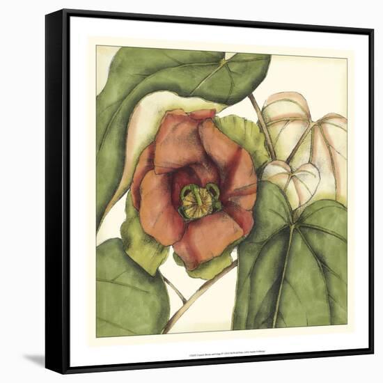 Tropical Blooms and Foliage IV-Jennifer Goldberger-Framed Stretched Canvas