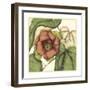 Tropical Blooms and Foliage IV-Jennifer Goldberger-Framed Art Print