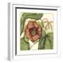 Tropical Blooms and Foliage IV-Jennifer Goldberger-Framed Art Print