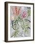 Tropical Blooms II-Maya Woods-Framed Art Print