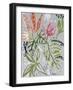 Tropical Blooms II-Maya Woods-Framed Art Print