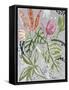 Tropical Blooms II-Maya Woods-Framed Stretched Canvas