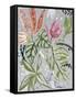 Tropical Blooms II-Maya Woods-Framed Stretched Canvas