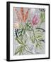 Tropical Blooms II-Maya Woods-Framed Art Print