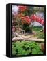 Tropical Blossoms at the Coral Reef Club Entrance, Barbados-Stuart Westmoreland-Framed Stretched Canvas