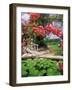 Tropical Blossoms at the Coral Reef Club Entrance, Barbados-Stuart Westmoreland-Framed Photographic Print