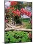 Tropical Blossoms at the Coral Reef Club Entrance, Barbados-Stuart Westmoreland-Mounted Photographic Print