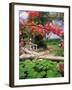 Tropical Blossoms at the Coral Reef Club Entrance, Barbados-Stuart Westmoreland-Framed Photographic Print