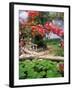 Tropical Blossoms at the Coral Reef Club Entrance, Barbados-Stuart Westmoreland-Framed Photographic Print