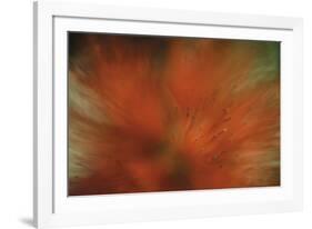 Tropical Blur-Wild Wonders of Europe-Framed Giclee Print