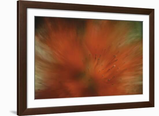 Tropical Blur-Wild Wonders of Europe-Framed Giclee Print