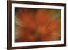 Tropical Blur-Wild Wonders of Europe-Framed Giclee Print