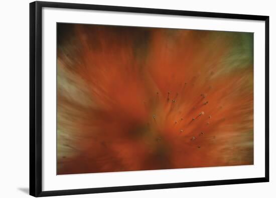 Tropical Blur-Wild Wonders of Europe-Framed Giclee Print