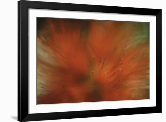 Tropical Blur-Wild Wonders of Europe-Framed Giclee Print