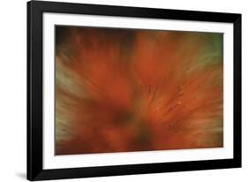 Tropical Blur-Wild Wonders of Europe-Framed Giclee Print