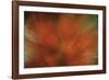 Tropical Blur-Wild Wonders of Europe-Framed Giclee Print