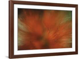 Tropical Blur-Wild Wonders of Europe-Framed Giclee Print