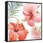 Tropical Blush III-Lisa Audit-Framed Stretched Canvas